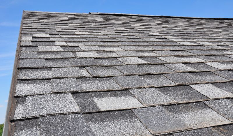 Specialty Roofing Services